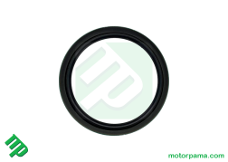 paraolio polaris (4)